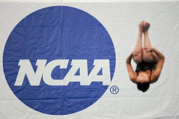 Fact Check: The NCAA has policies regarding the participation of transgender athletes in sports.