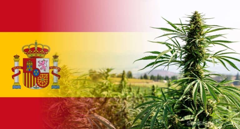 Fact Check: Is weed legal in Spain?