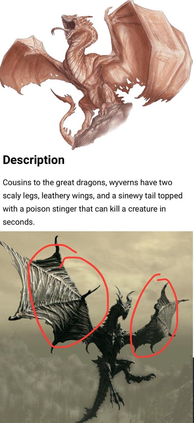 Fact Check: Is wyvern a dragon?