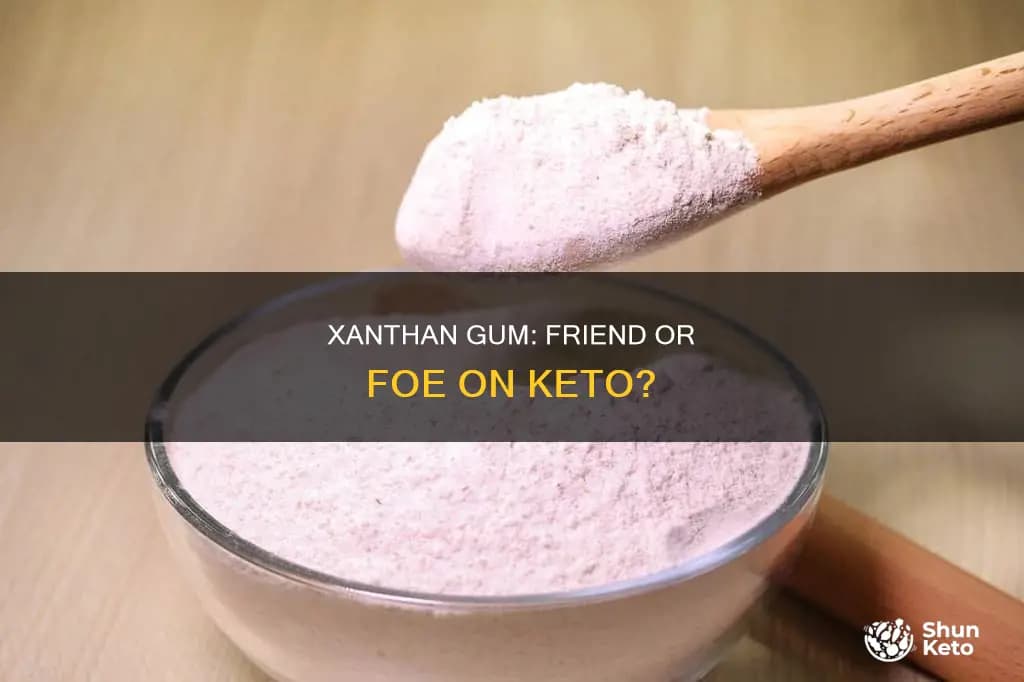 Fact Check: Is xanthan gum bad for you?