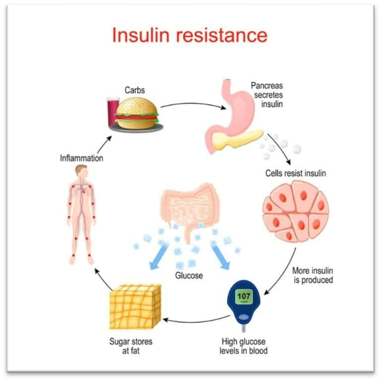 Fact Check: How scientifically strong is the popular carbohydrate insulin hypothesis promoted by Gary Taubes claiming that carbohydrates cause obesity?