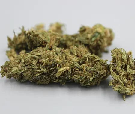 Fact Check: Is zkittlez indica?
