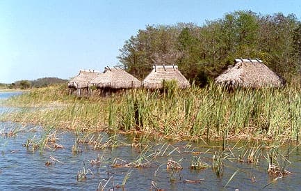 Fact Check: Florida is home to the Everglades, a unique wetland ecosystem.
