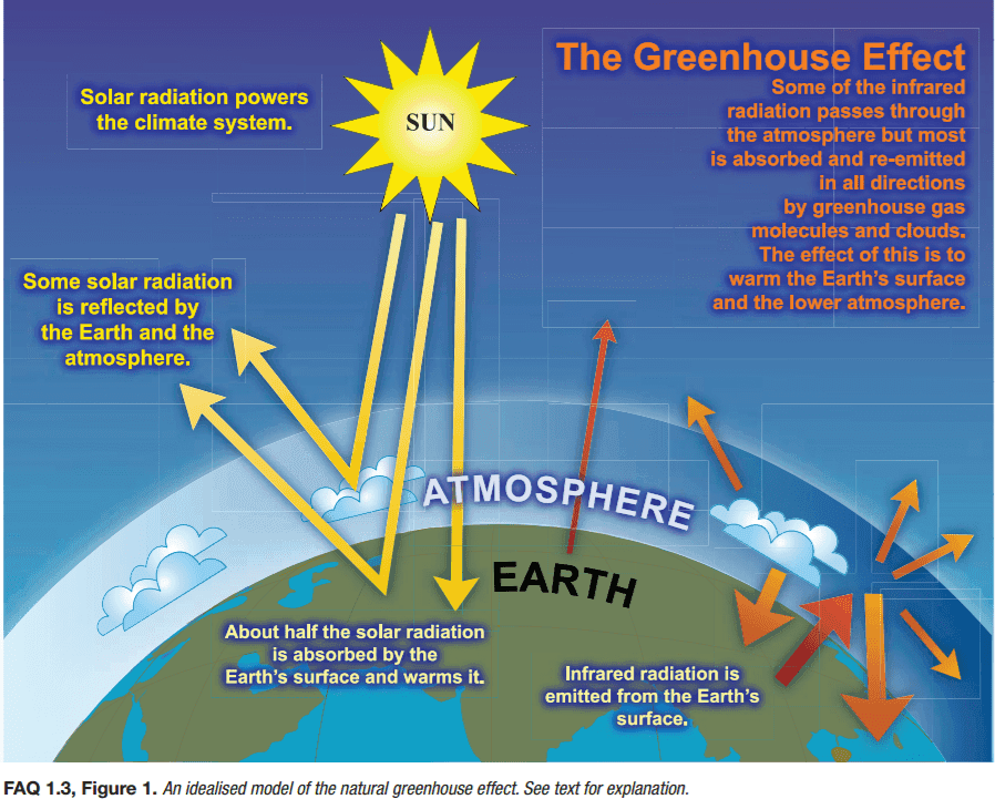 Fact Check: Climate change is caused by increased levels of greenhouse gases in the atmosphere.