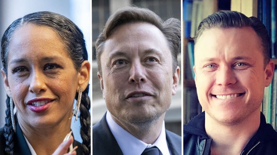 Fact Check: elon musk a criminal
