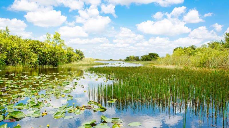 Fact Check: The Everglades is a protected national park in Florida.
