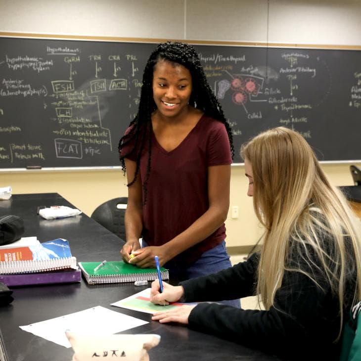 Fact Check: Non-English-speaking students require additional support in U.S. schools.