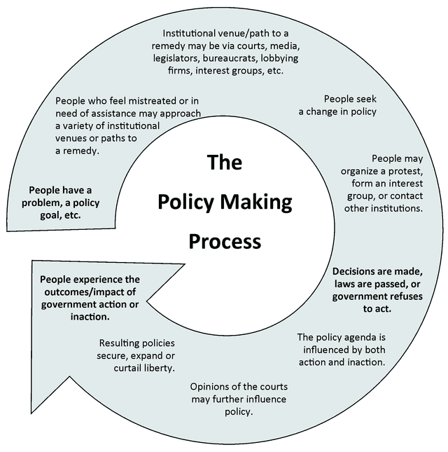 Fact Check: Public opinion can influence political representatives' actions.
