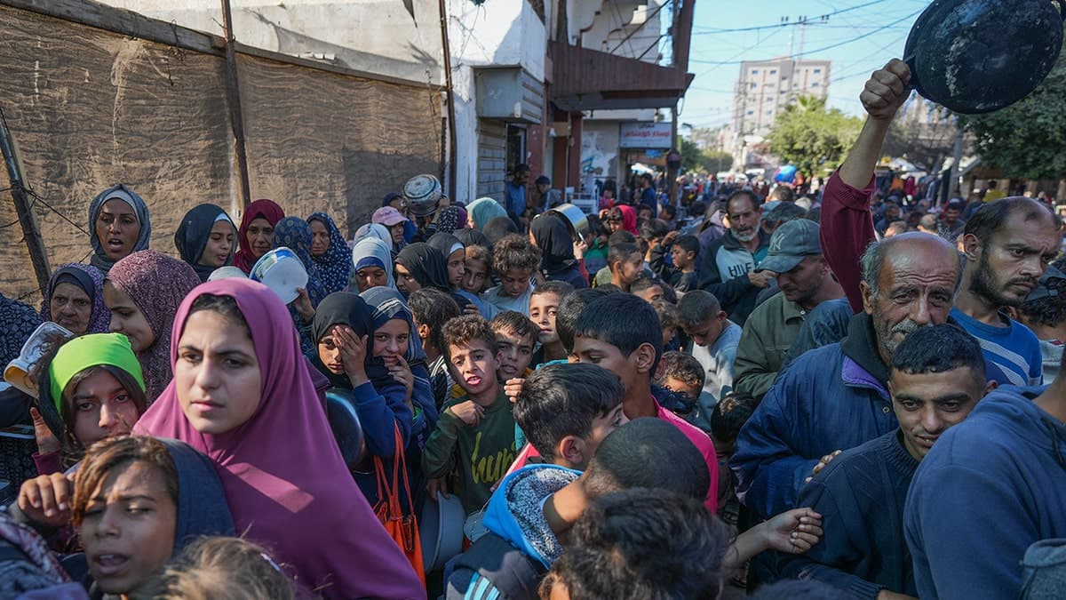 Fact Check: Gaza has faced significant shortages of medical supplies and food.