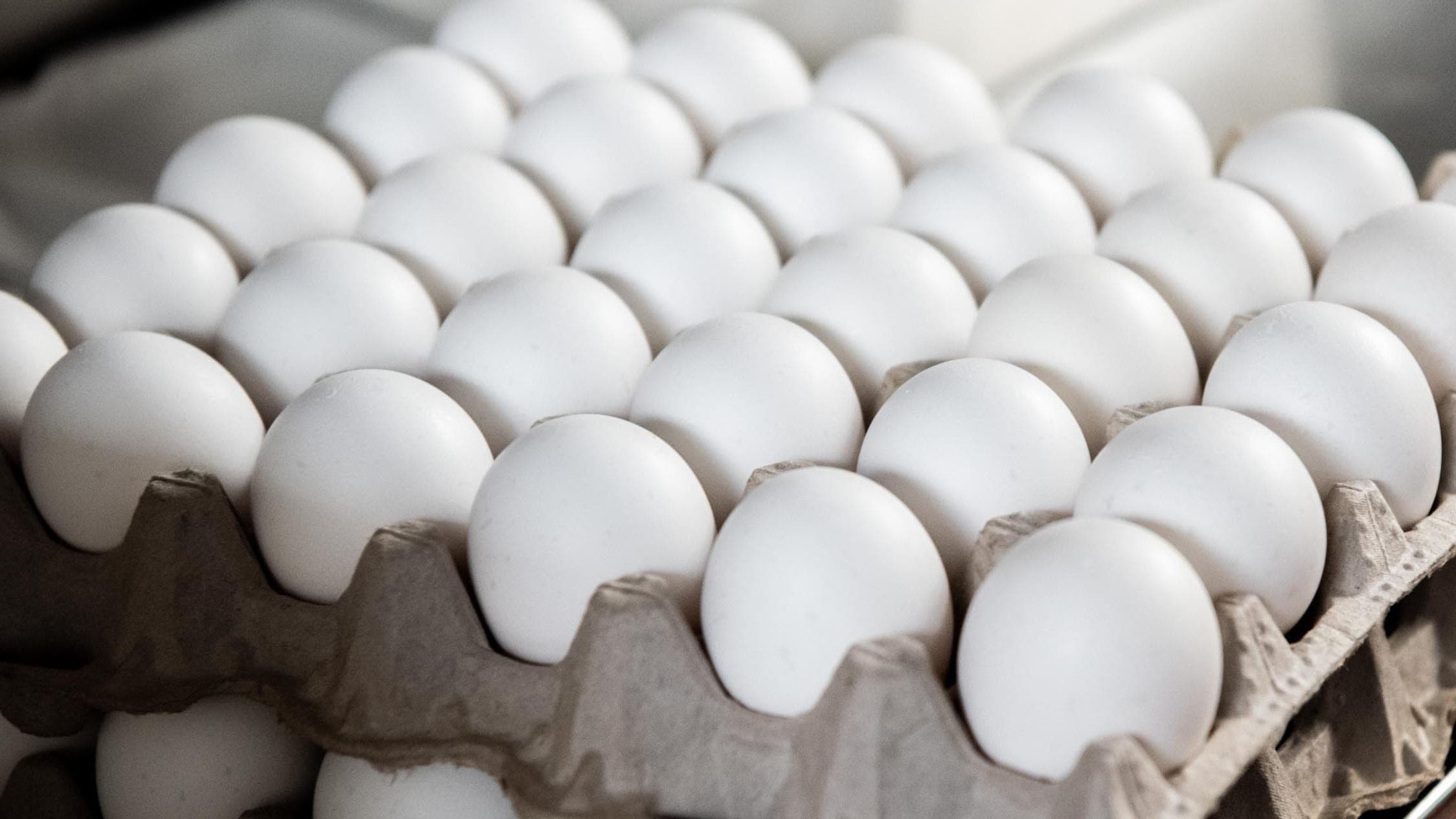 Fact Check: Donald Trump lowered the price of eggs in usa
