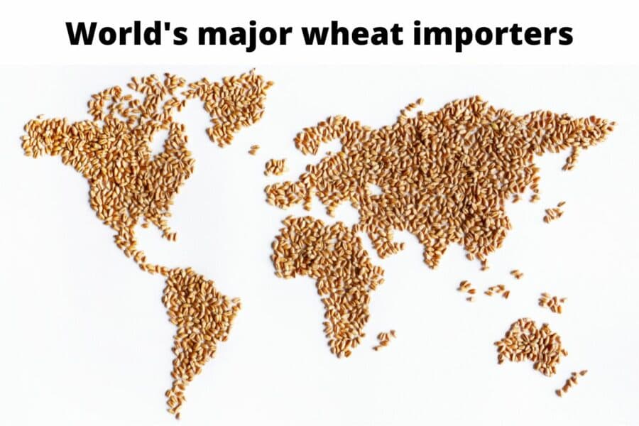 Fact Check: The Philippines is the world's eighth largest wheat importer.
