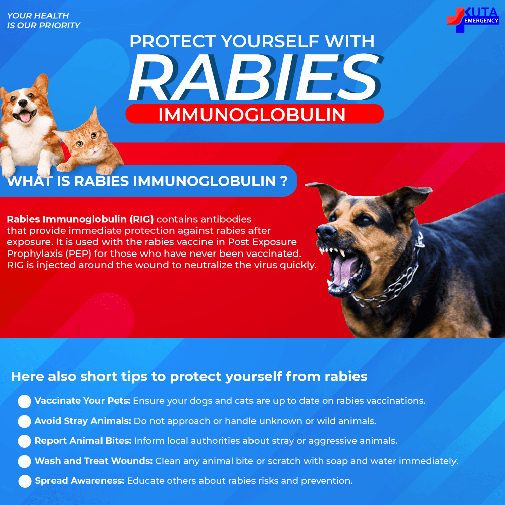 Fact Check: Rabies immunoglobulin and rabies vaccine are recommended after bat bites.