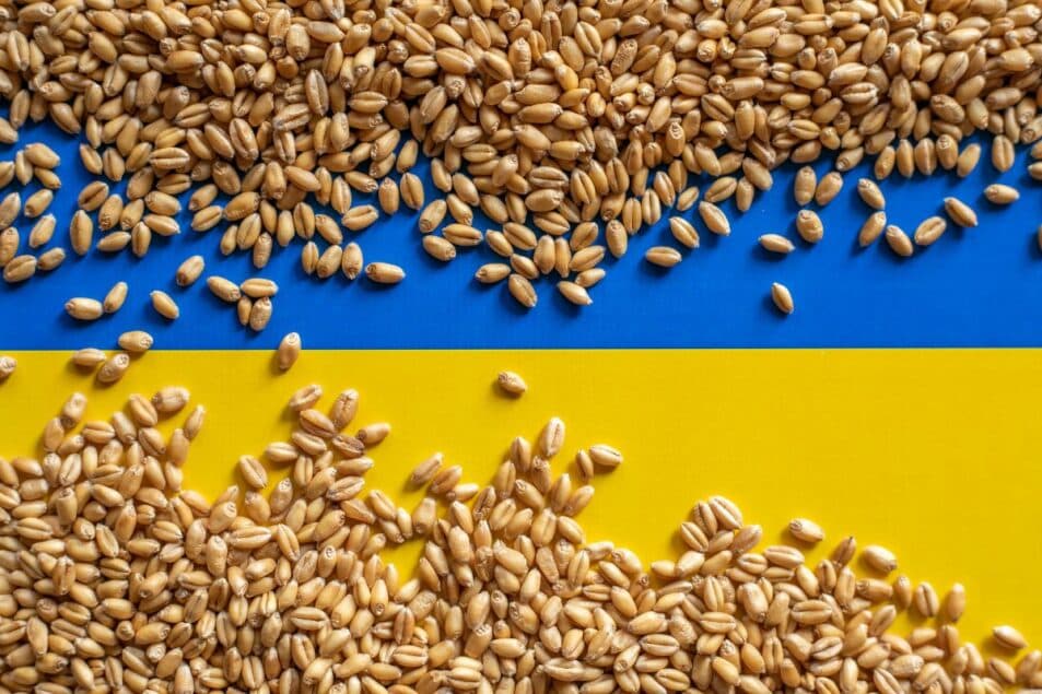 Fact Check: Ukraine's agricultural exports to the EU include grain, maize, eggs, and poultry.