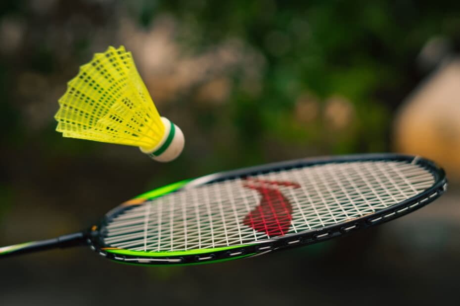 Fact Check: Table tennis and badminton are popular recreational sports globally.