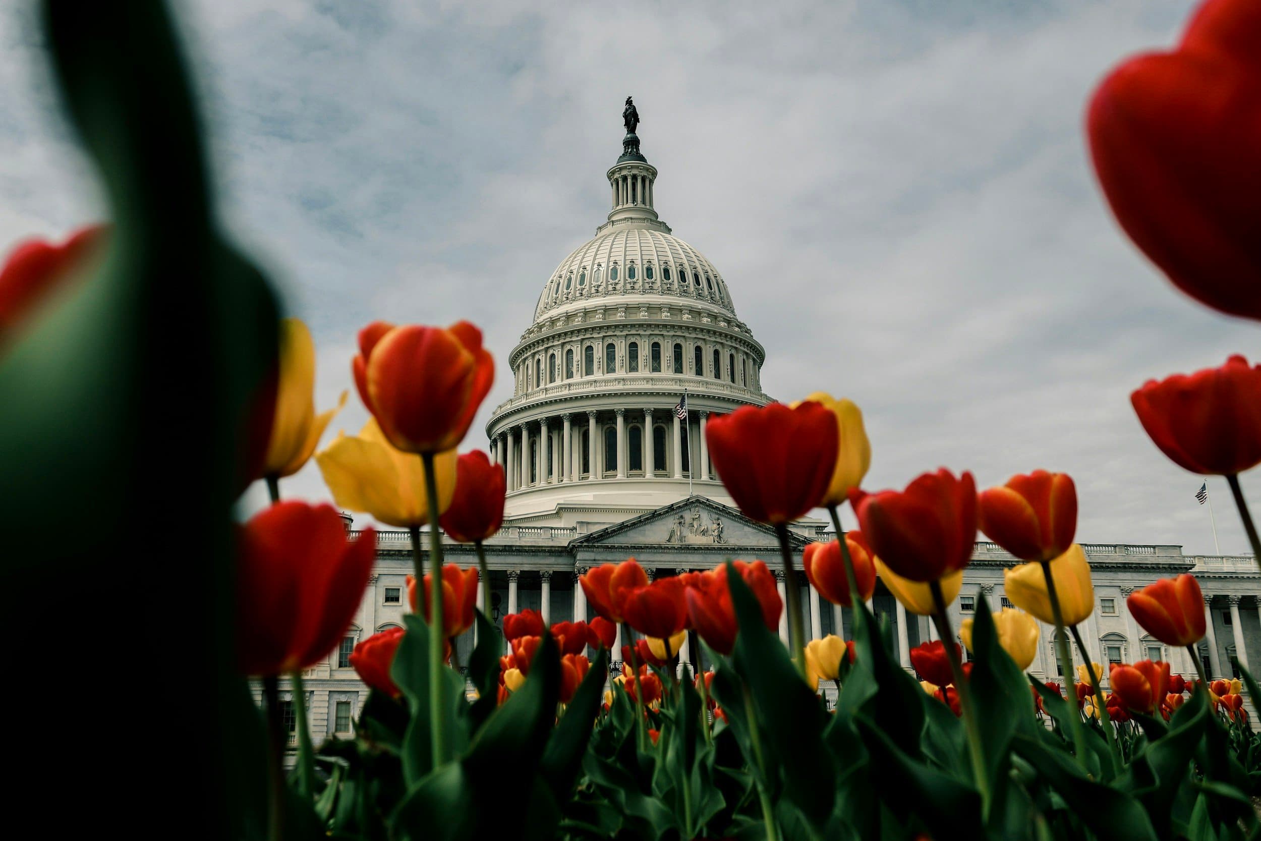 Fact Check: Transparency in government is crucial for maintaining public trust.