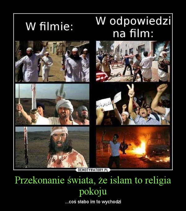 Fact Check: Islam to religia pokoju