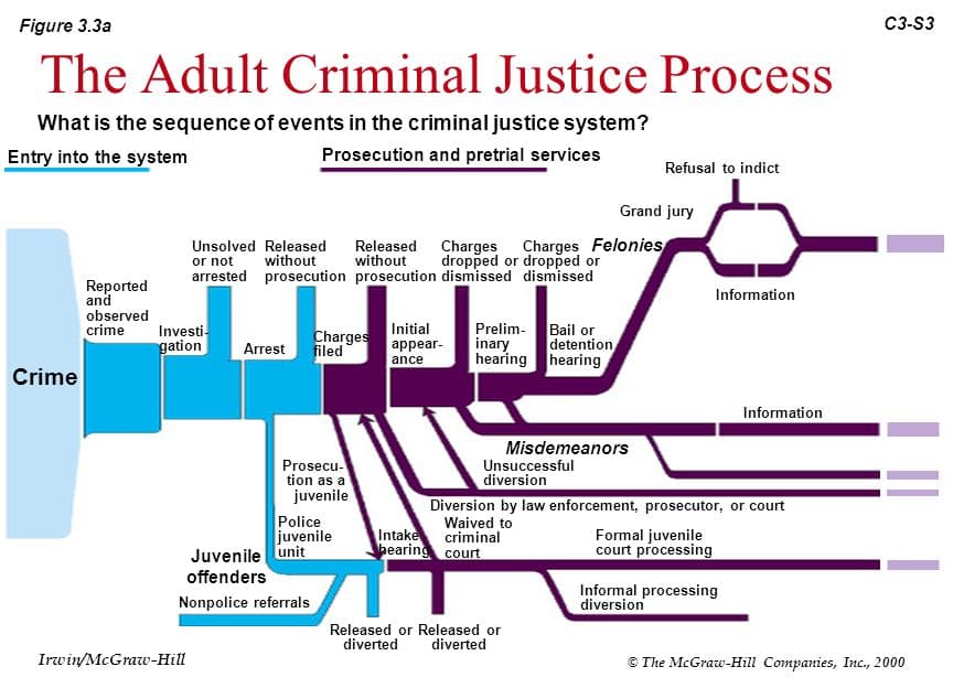 Fact Check: Private prisons are a significant part of the U.S. criminal justice system.