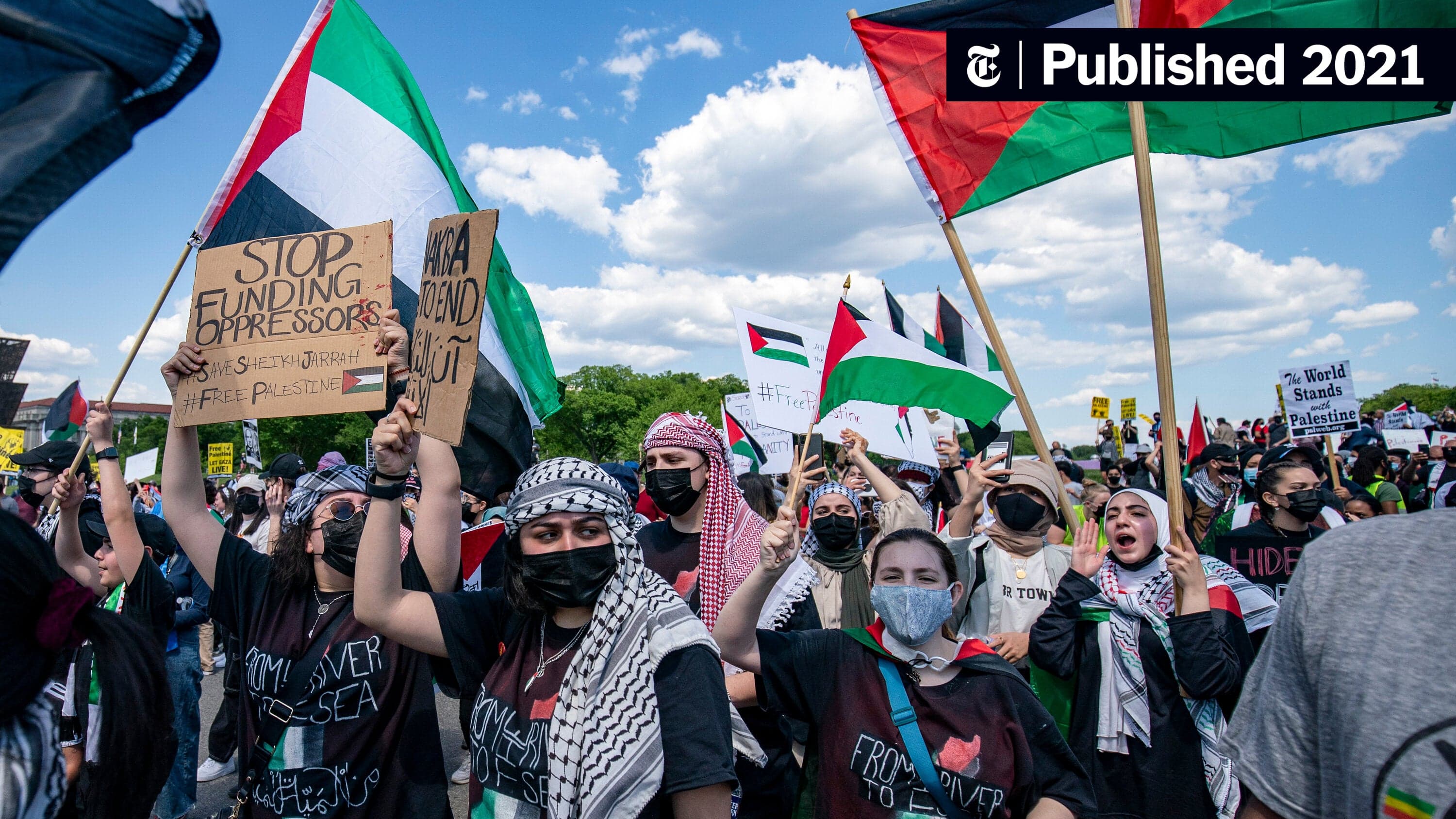 Fact Check: Phoenix lIkner is anti-Trump pro-Palestine radical leftist