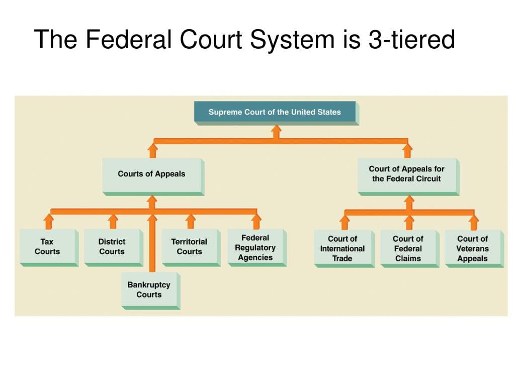 Fact Check: The U.S. District Court is a federal court system.