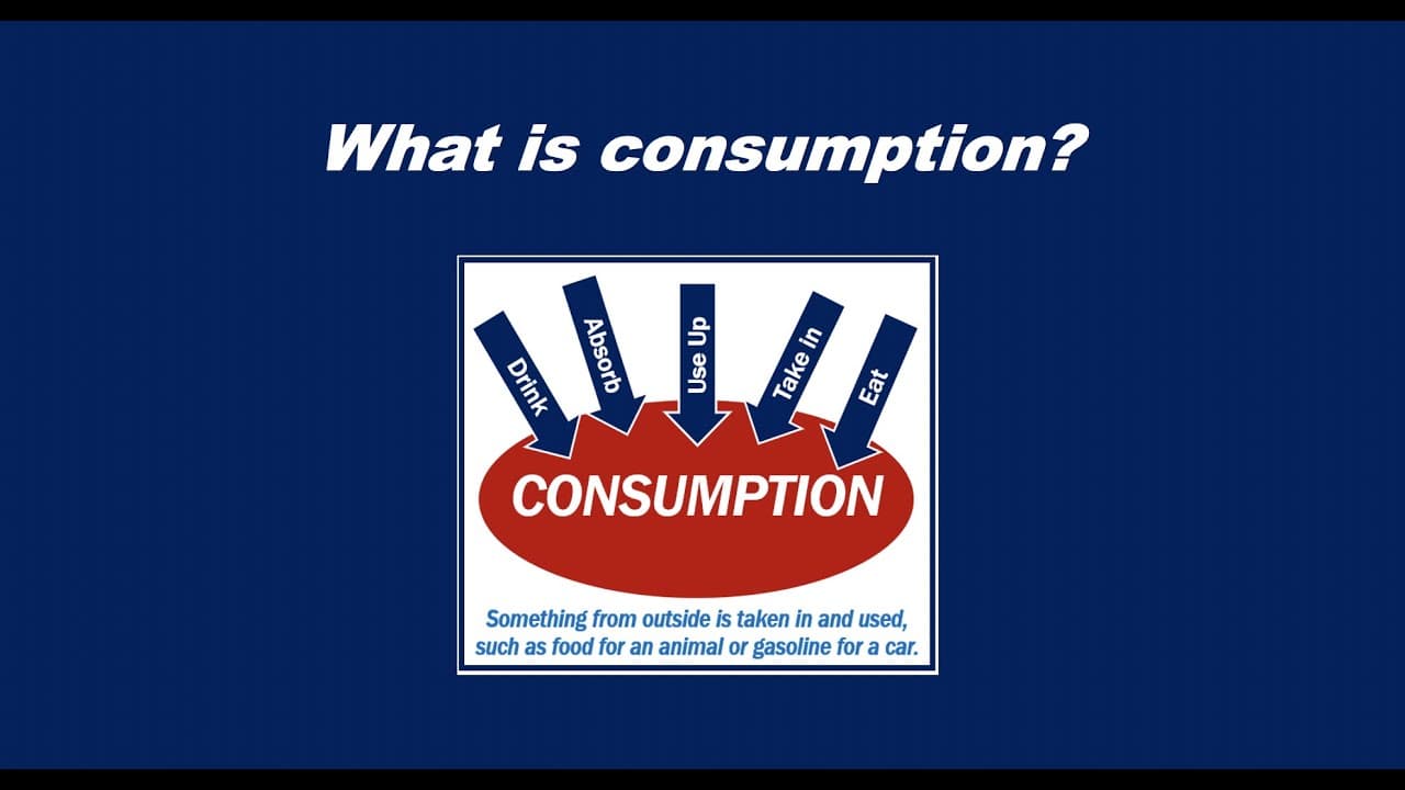 Fact Check: Consumption patterns can influence economic growth.