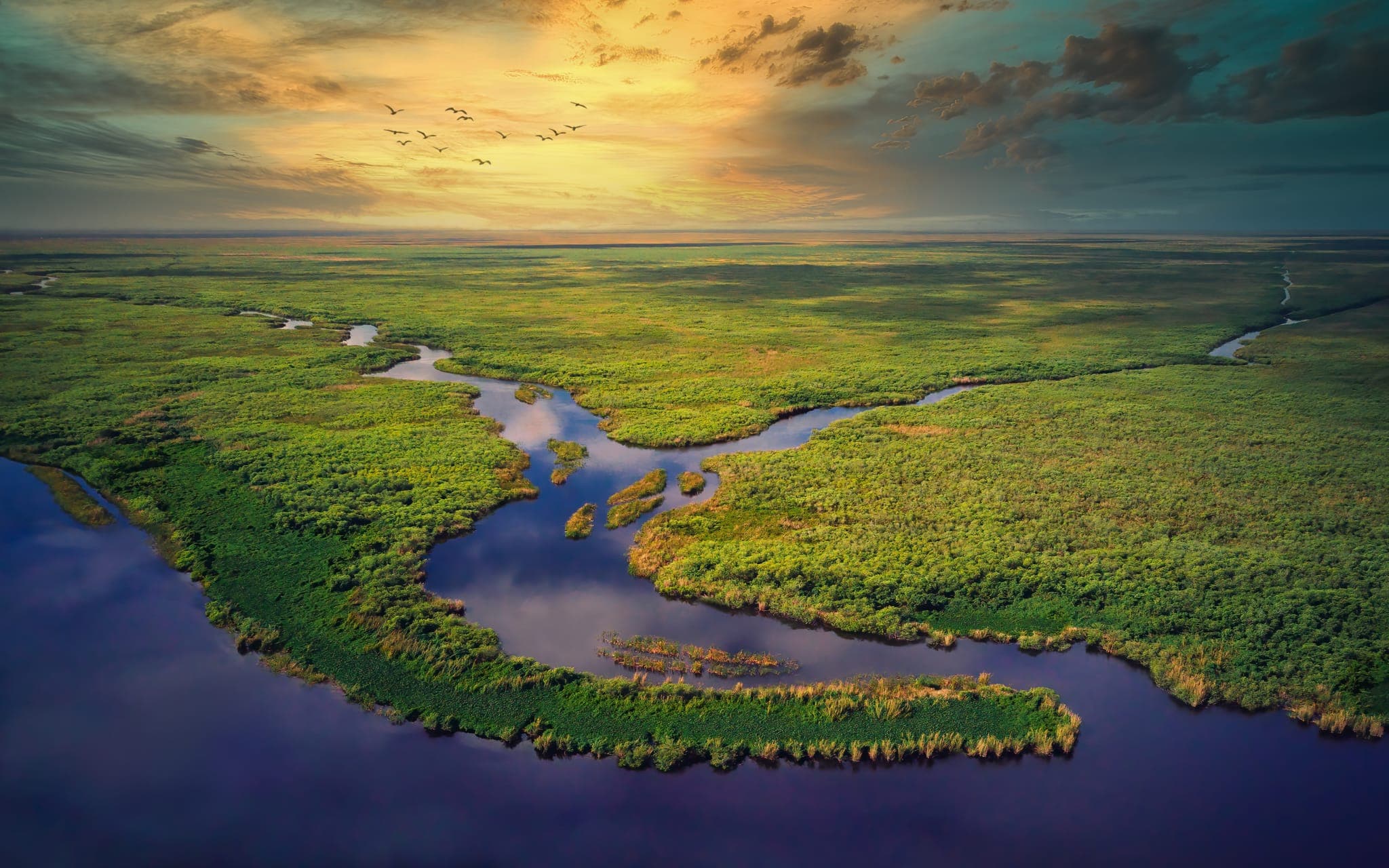 Fact Check: The Everglades is a large wetland ecosystem in Florida.