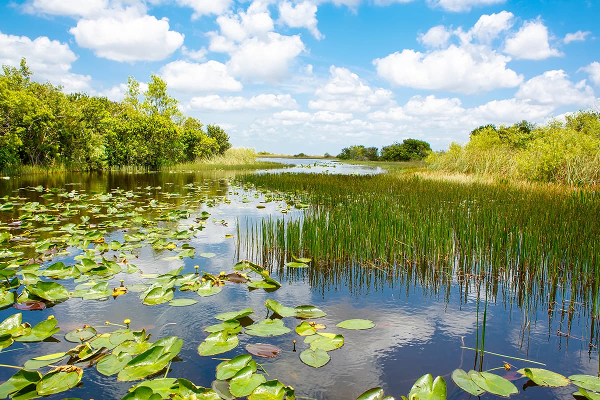 Fact Check: Florida is home to the Everglades National Park.