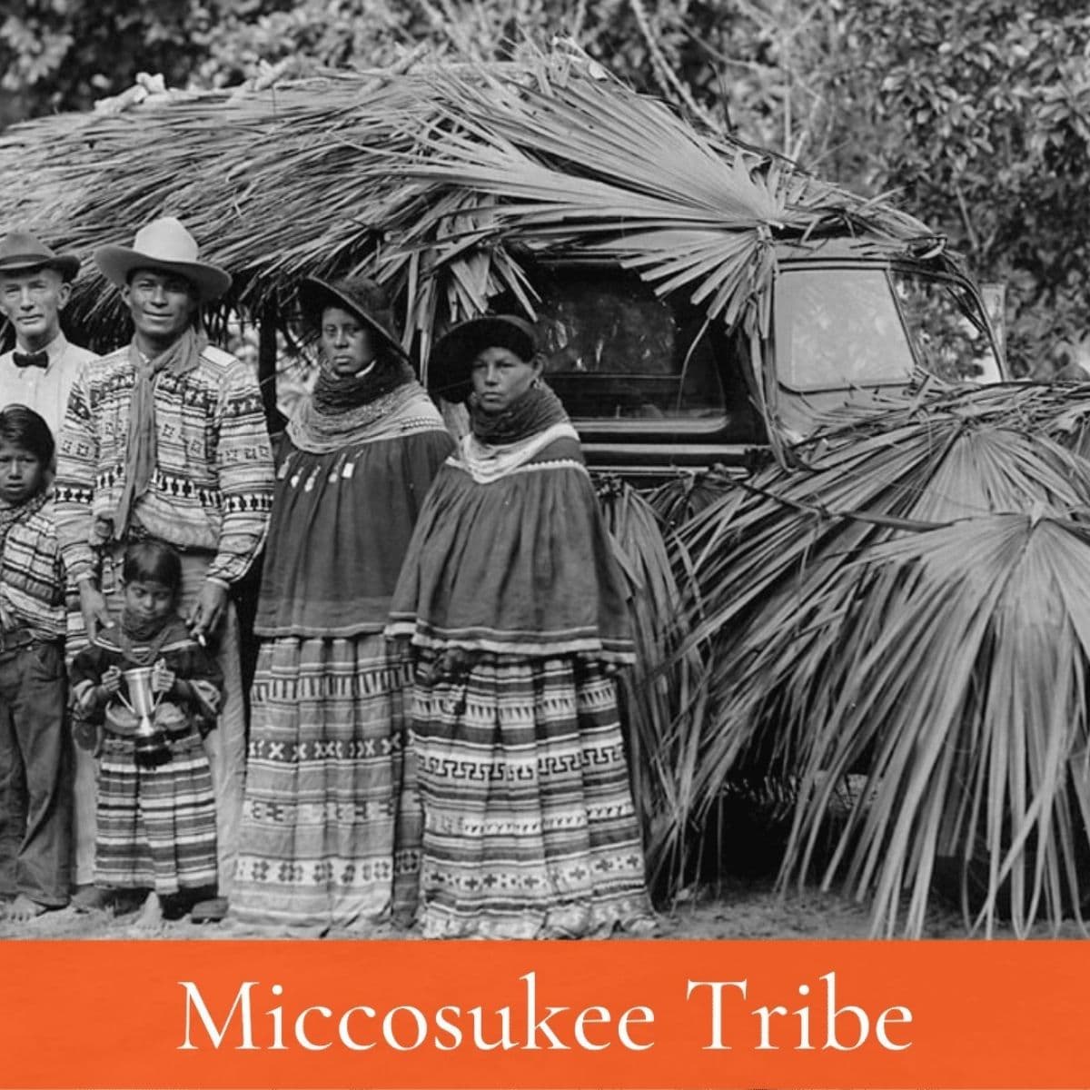 Fact Check: The Miccosukee tribe is indigenous to Florida.