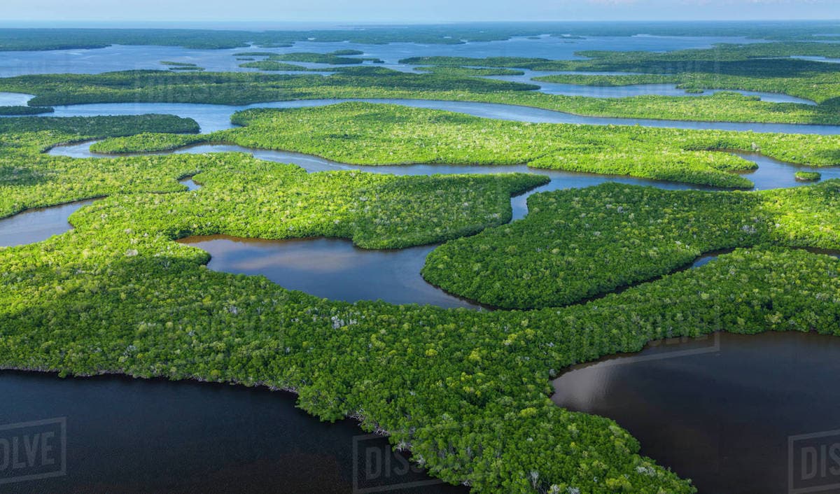 Fact Check: The Everglades is a tropical wetland ecosystem in Florida.