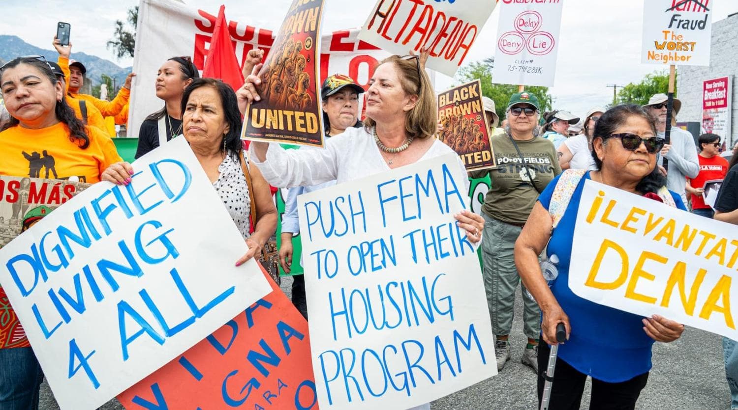 Fact Check: Protests are a form of public demonstration against policies or actions.