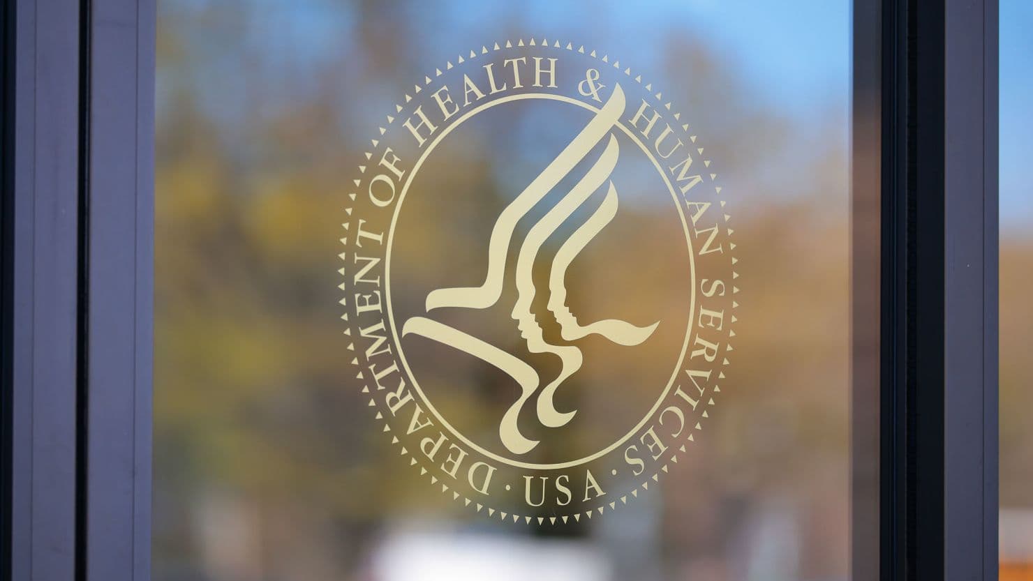 Fact Check: Mass layoffs can disrupt essential public health services.