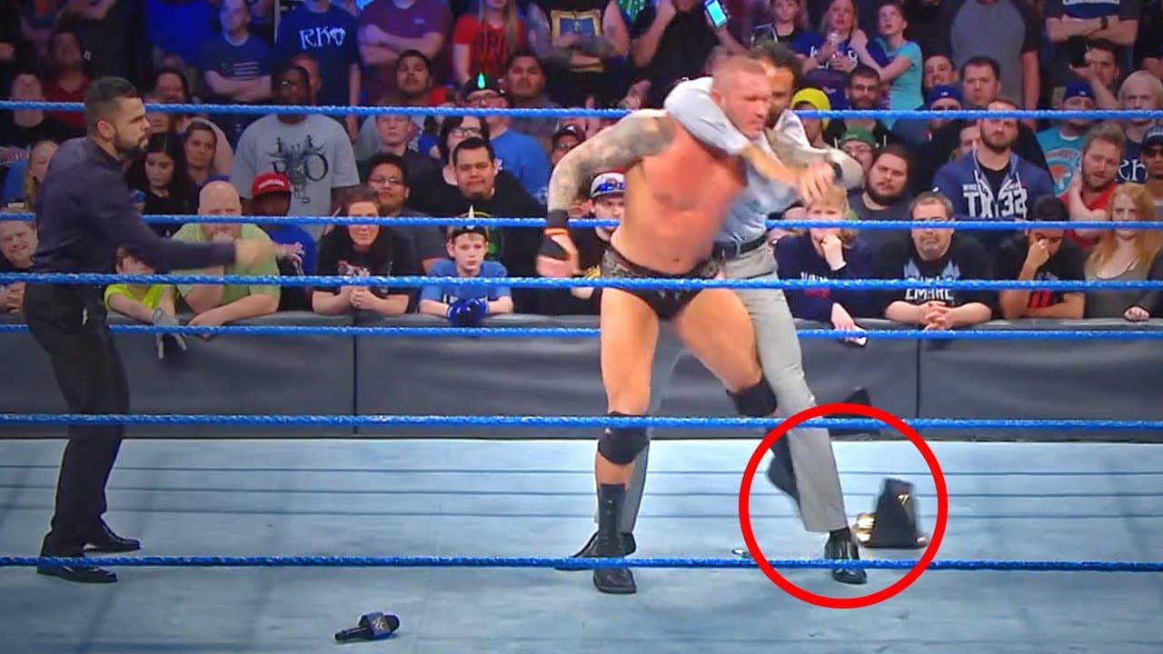 Fact Check: Has a pro wrestler ever sued his opponent for physical damages in their match.  