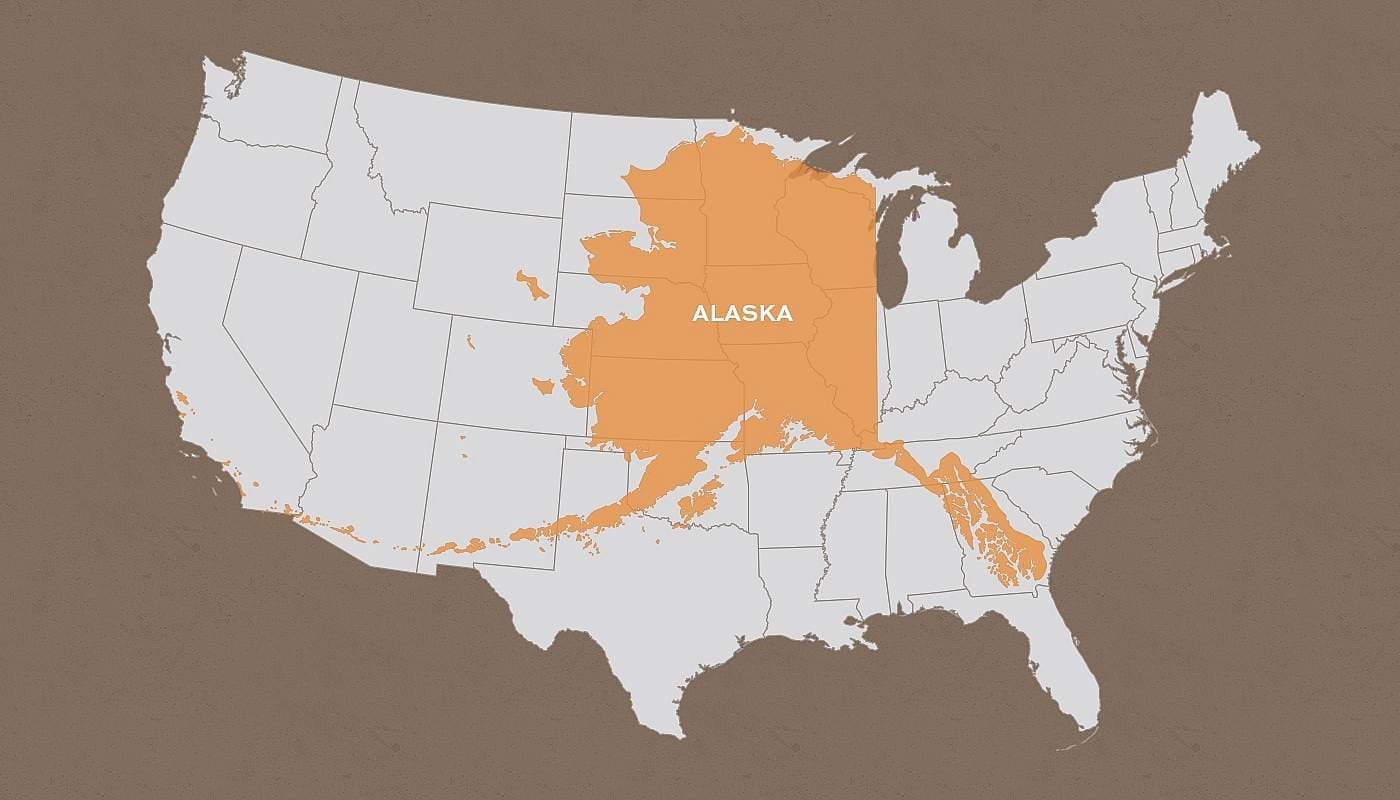 Fact Check: Alaska is the largest state in the United States by area.