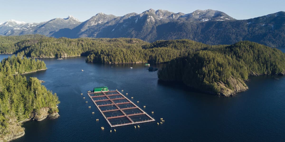 Fact Check: Salmon farming is a significant industry in many coastal regions worldwide.
