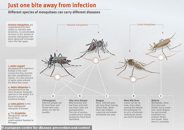 Fact Check: Malaria is transmitted by Anopheles mosquitoes.