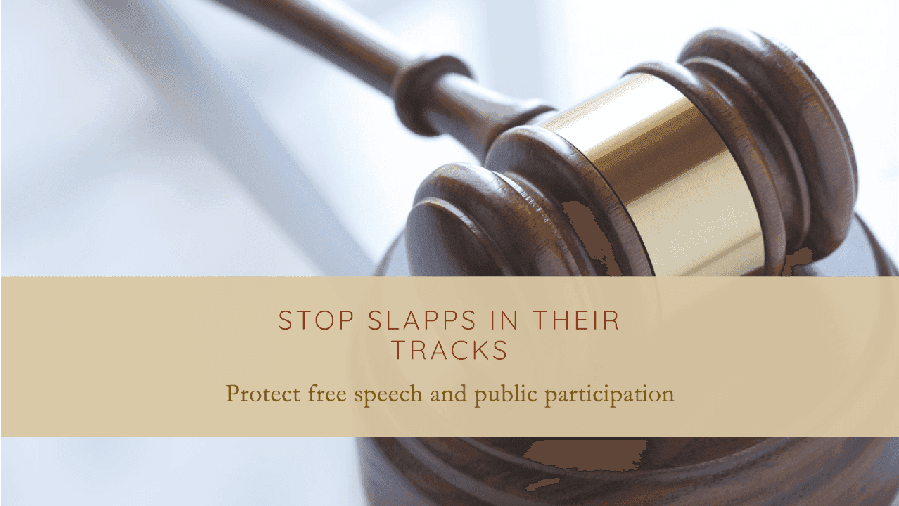 Fact Check: SLAPP lawsuits aim to deter public participation through legal intimidation.