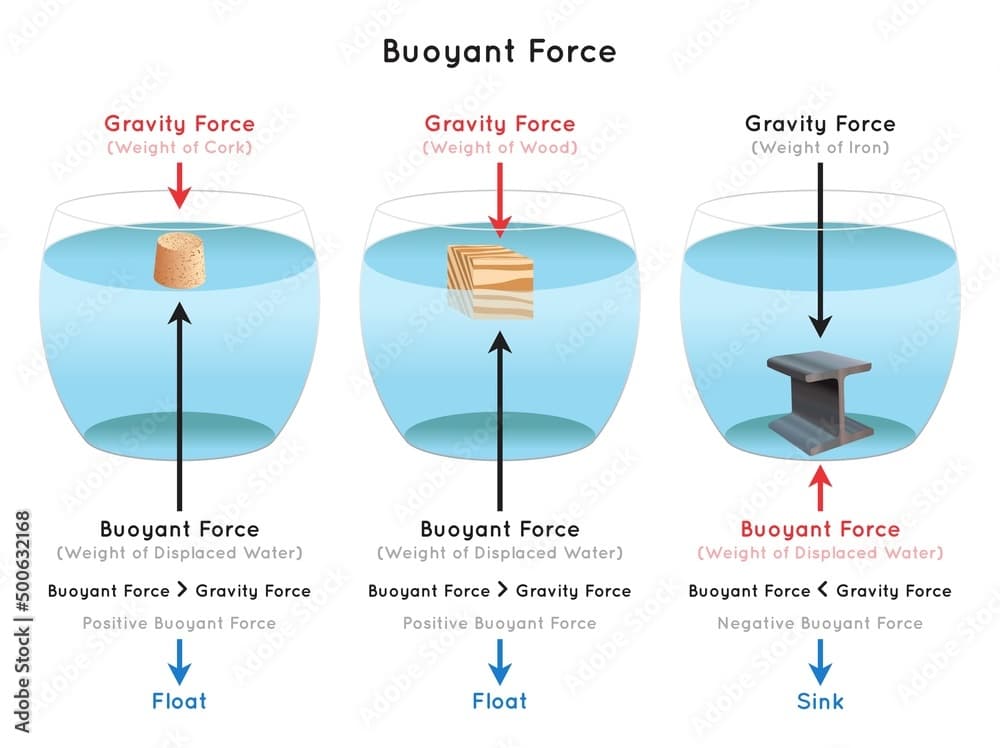 Fact Check: Air temperature affects the buoyancy of objects in water.