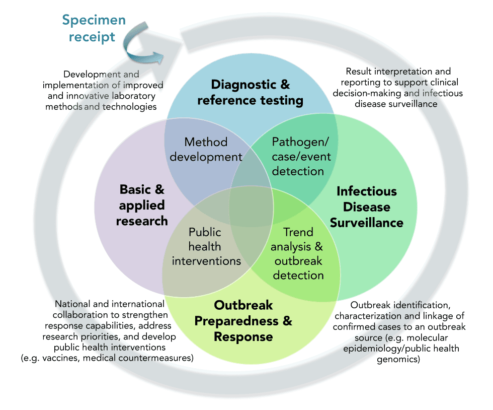 Fact Check: Testing is essential for controlling infectious disease outbreaks.
