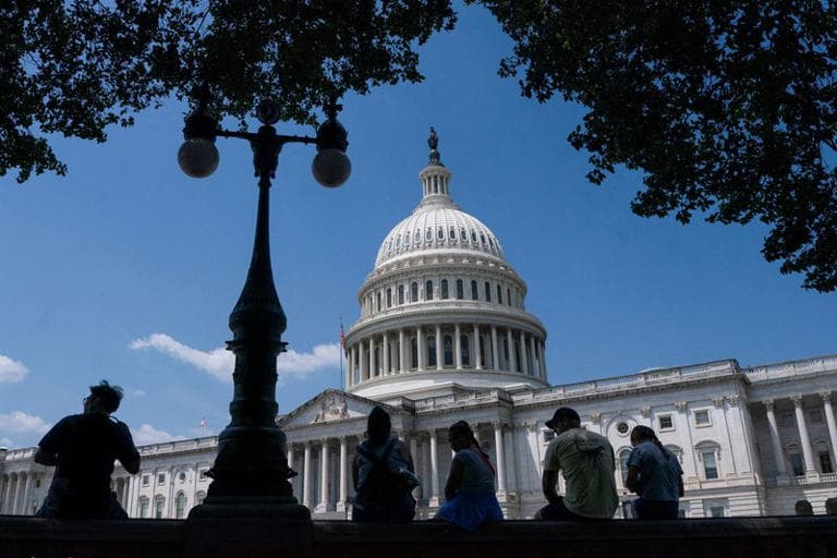 Fact Check: The U.S. Congress can pass legislation on taxes and health care.
