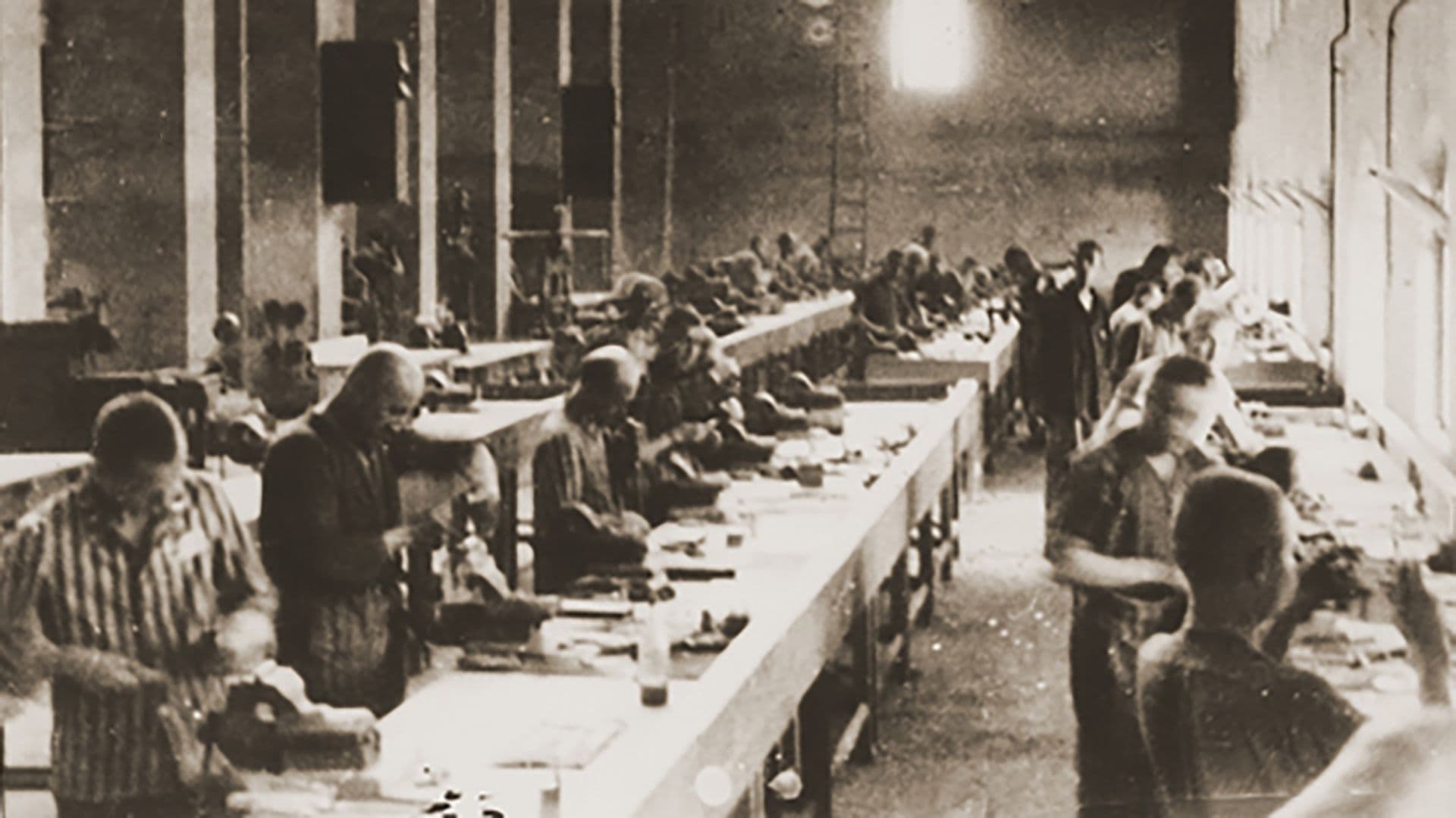 Fact Check: Concentration camps were used during World War II for the internment of civilians.