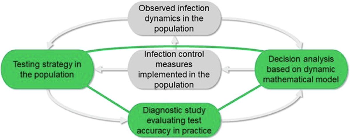 Fact Check: Testing is a critical component in controlling infectious disease outbreaks.