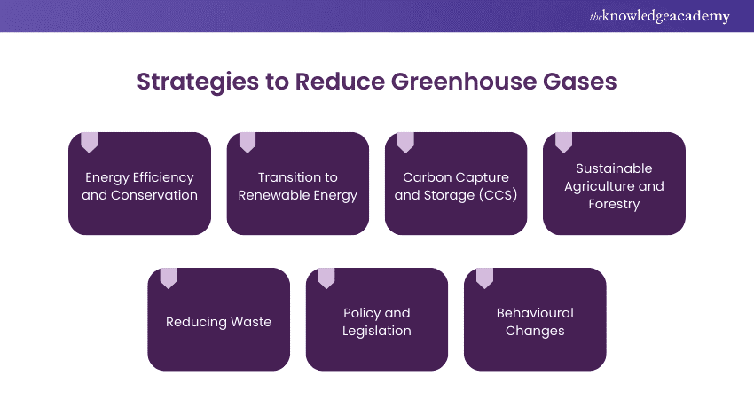 Fact Check: Clean energy investments can significantly reduce greenhouse gas emissions.