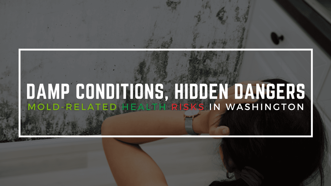 Fact Check: Mold can grow in damp environments, posing health risks.