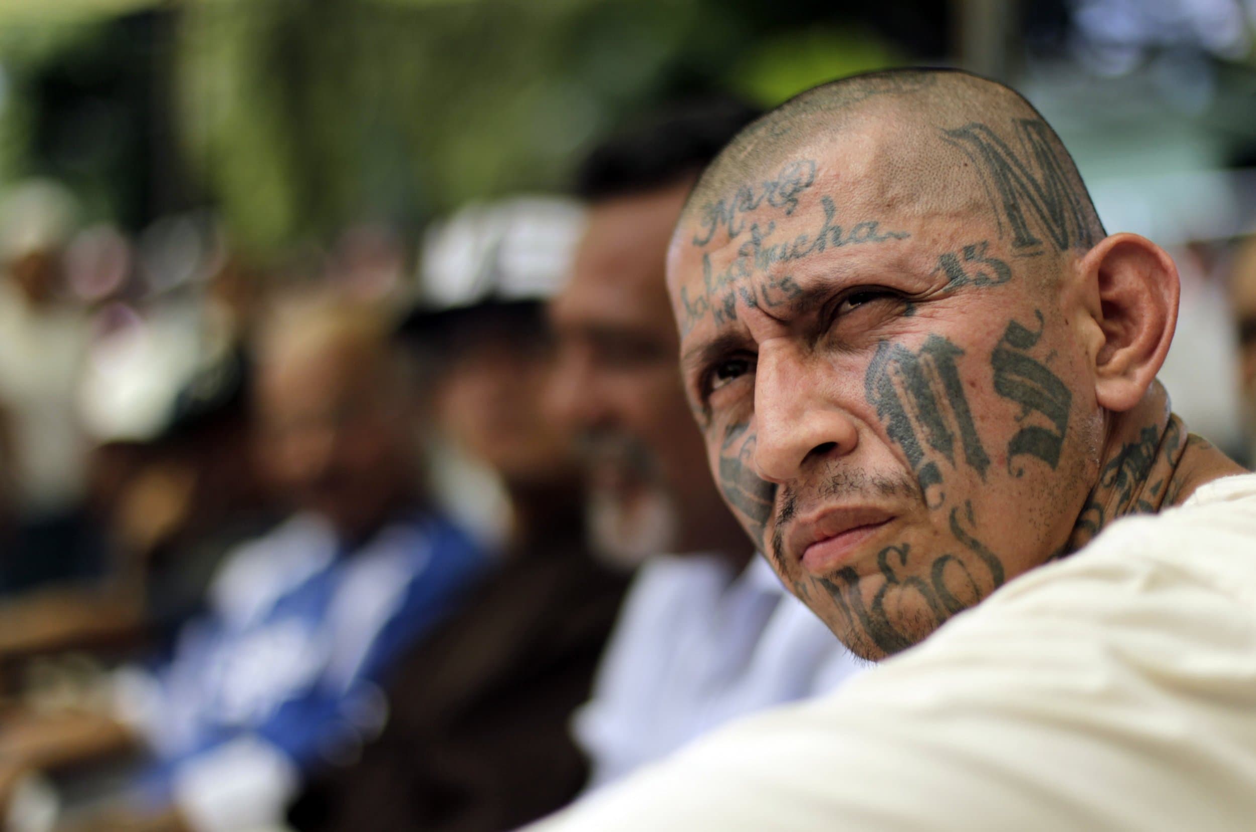 Fact Check: MS-13 is a notorious gang originating from Central America.