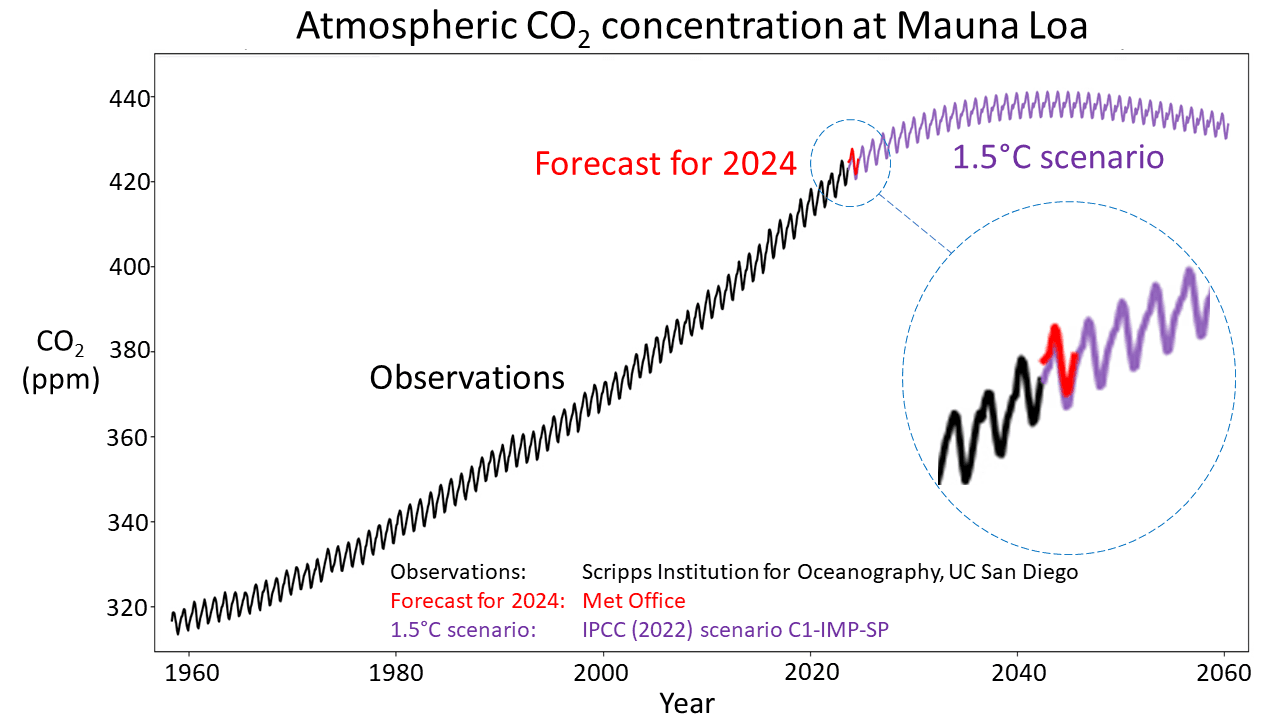 Fact Check: In 2024, atmospheric CO2 levels reached 424.61 ppm.