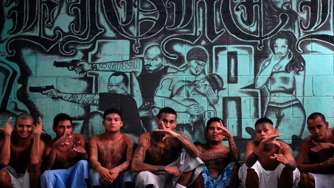 Fact Check: MS-13 is a violent street gang originating from Central America.