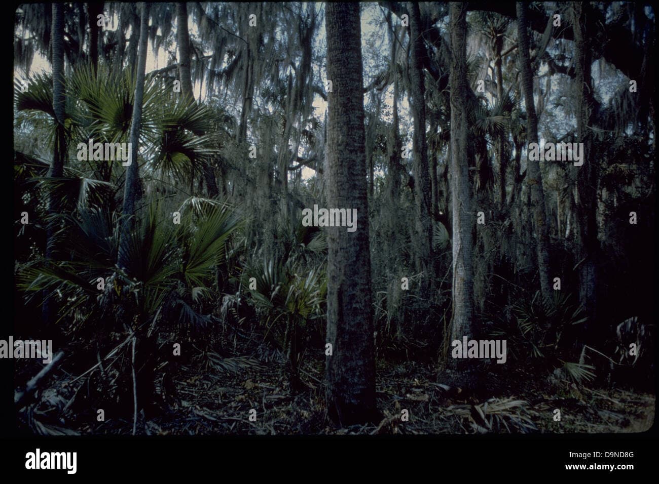 Fact Check: Florida is known for its diverse ecosystems and wildlife.
