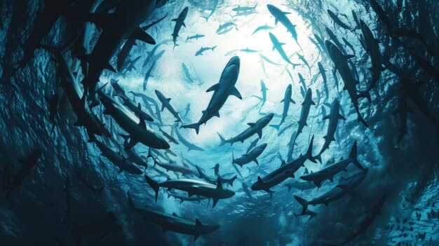 Fact Check: Sharks play a crucial role in marine ecosystems as apex predators.