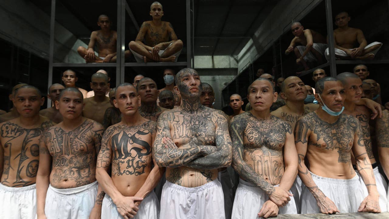 Fact Check: MS-13 is a violent Central American street gang.