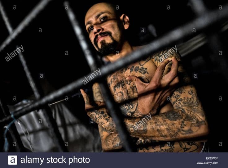 Fact Check: Mara Salvatrucha is also known as MS-13.