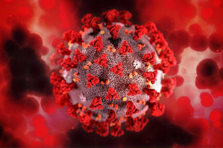 Fact Check: COVID-19 pandemic led to increased demand for rapid testing solutions.